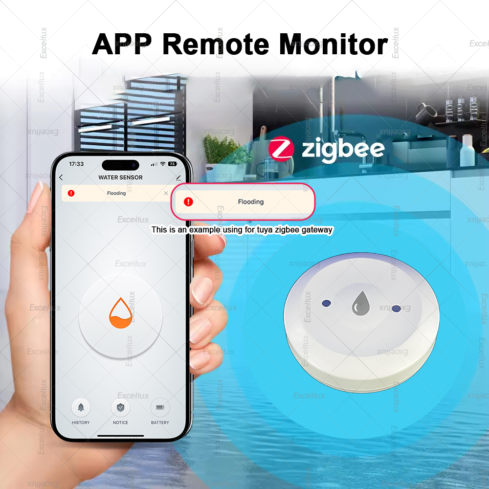 Zigbee Water Detector Leakage  - Smart Home Assistant review and price
