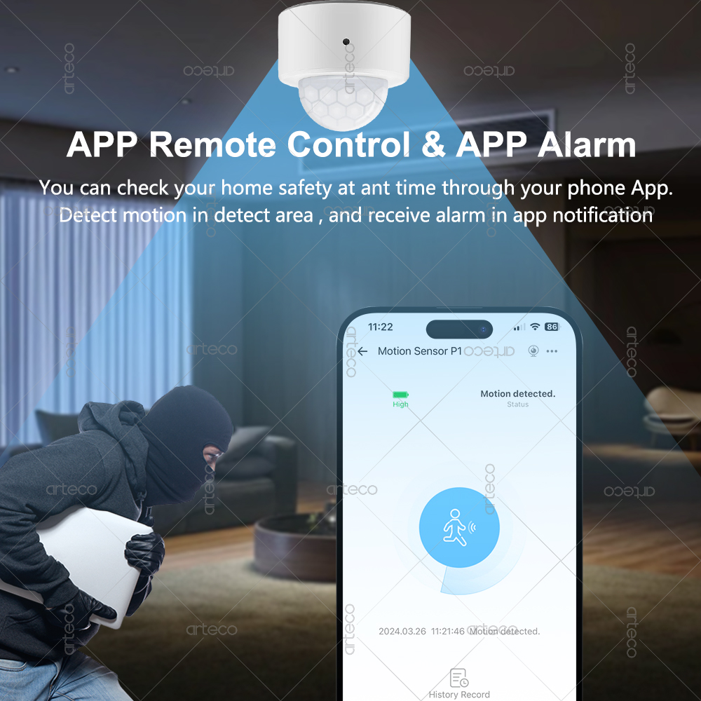 Ewelink Zigbee PIR Motion Sens - Pir Motion Sensor review and price