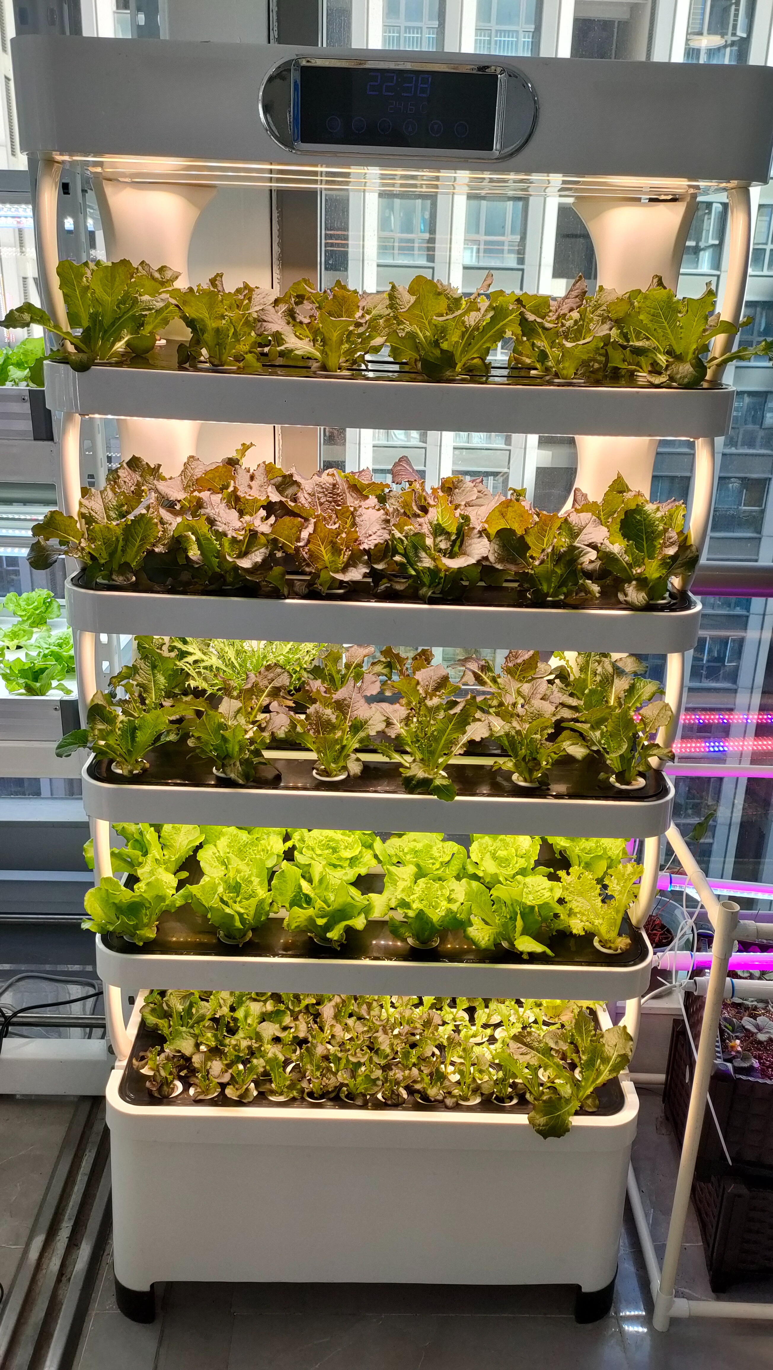 Intelligent Hydroponic Growing - Smart Home Uses review and price