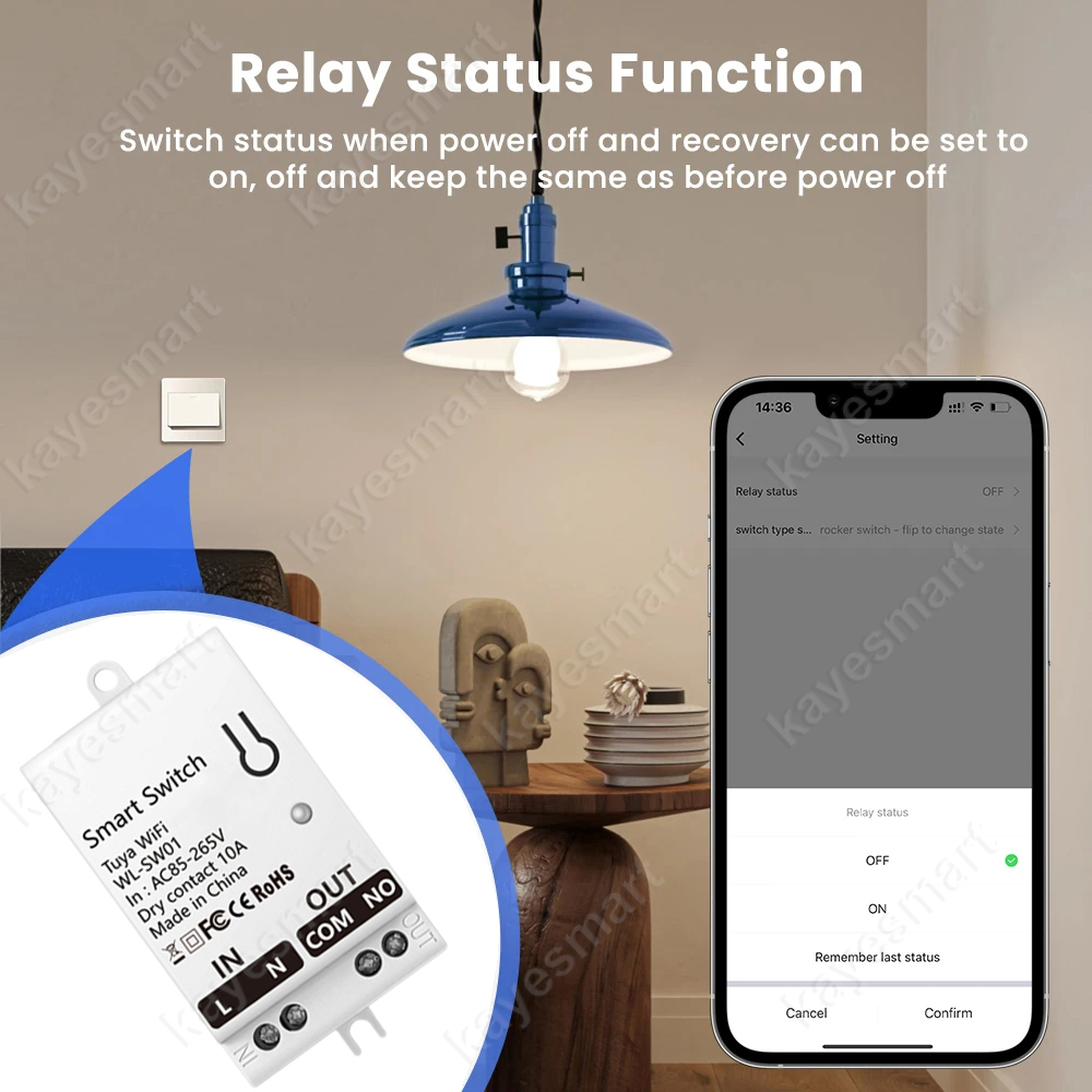 Tuya WiFi Smart Switch Module  - Smart Home Assistant review and price